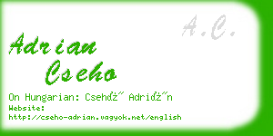 adrian cseho business card